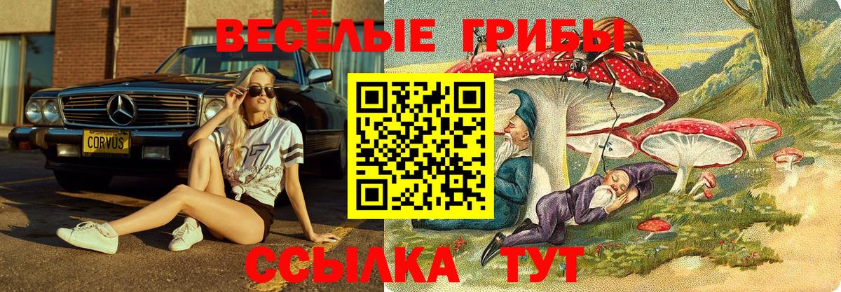 Галлюциногенные грибы прущие грибы Богородск