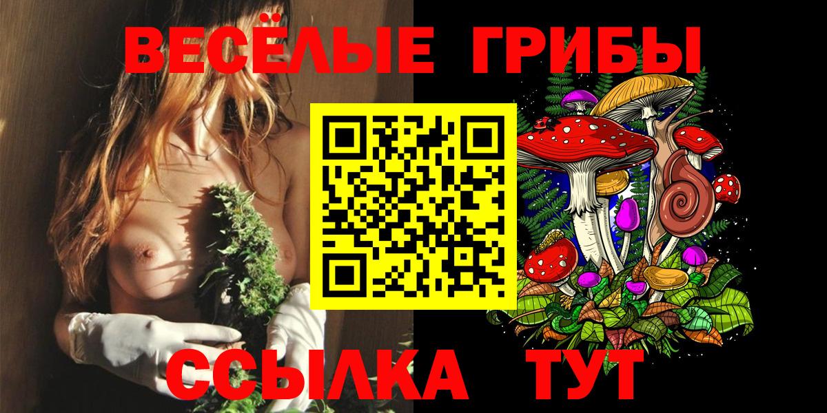 Богородск  Псилоцибиновые грибы Psilocybe  Вход с VPN  Псилоцибиновые грибы Psilocybine cubensis 